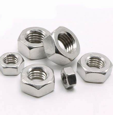 Stainless Steel Nuts
